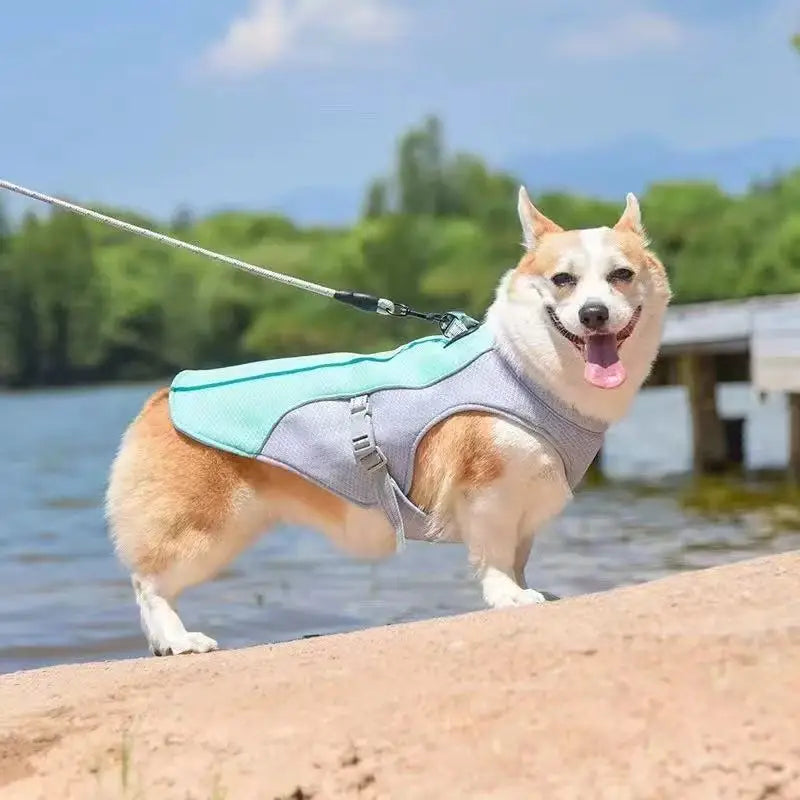 Cooling Vest for Dogs — Reflective Anti-Heat Harness with Quick Release