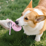 PupSip 2-in-1 Travel Water Bottle.