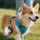 PupSip 2-in-1 Travel Water Bottle.